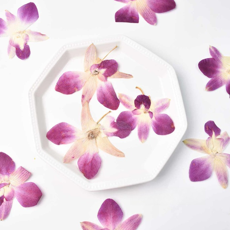 4pcs,Real Pressed Butterfly Or - Resin Art Frame 评论和价格