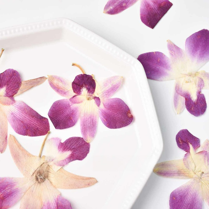 4pcs,Real Pressed Butterfly Or - Resin Art Frame 评论和价格