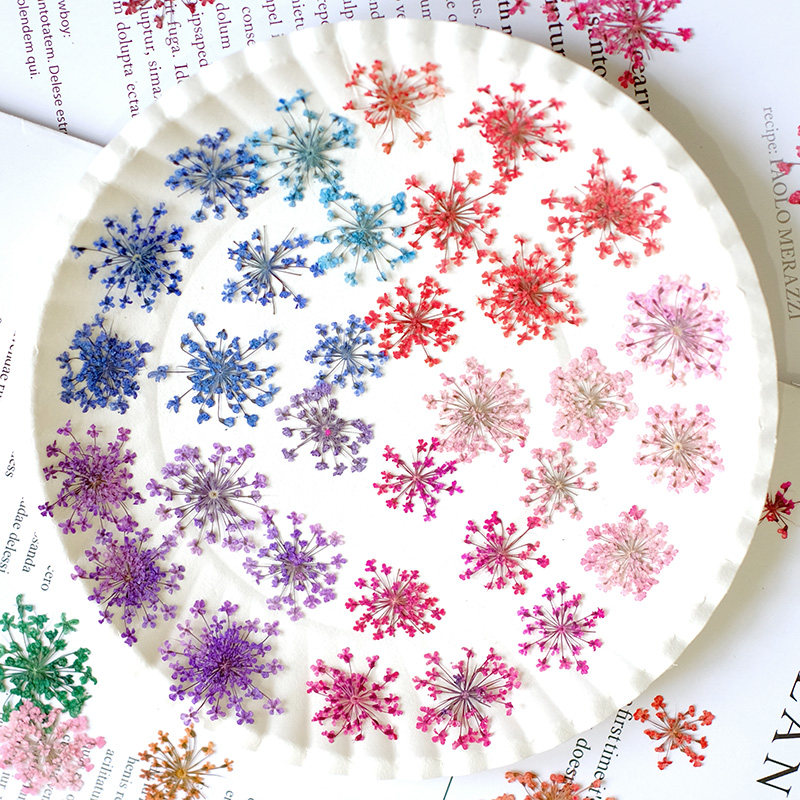24pcs, 2-2.5cm, Nature Dyed Mi - Resin Art Frame 评论和价格
